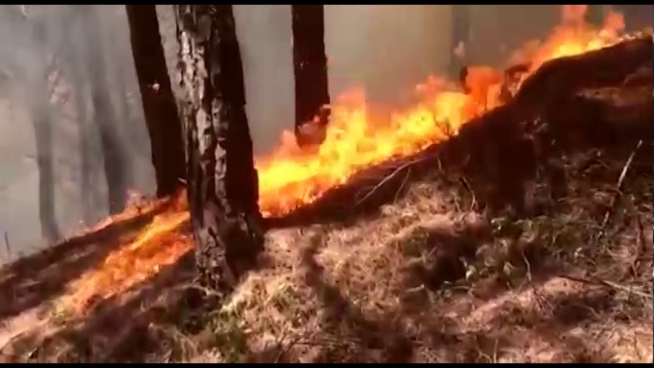 fuoco