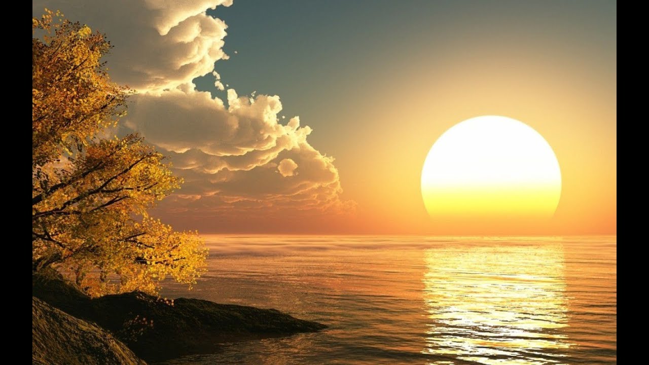 sole